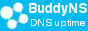 BuddyNS Secondary DNS
